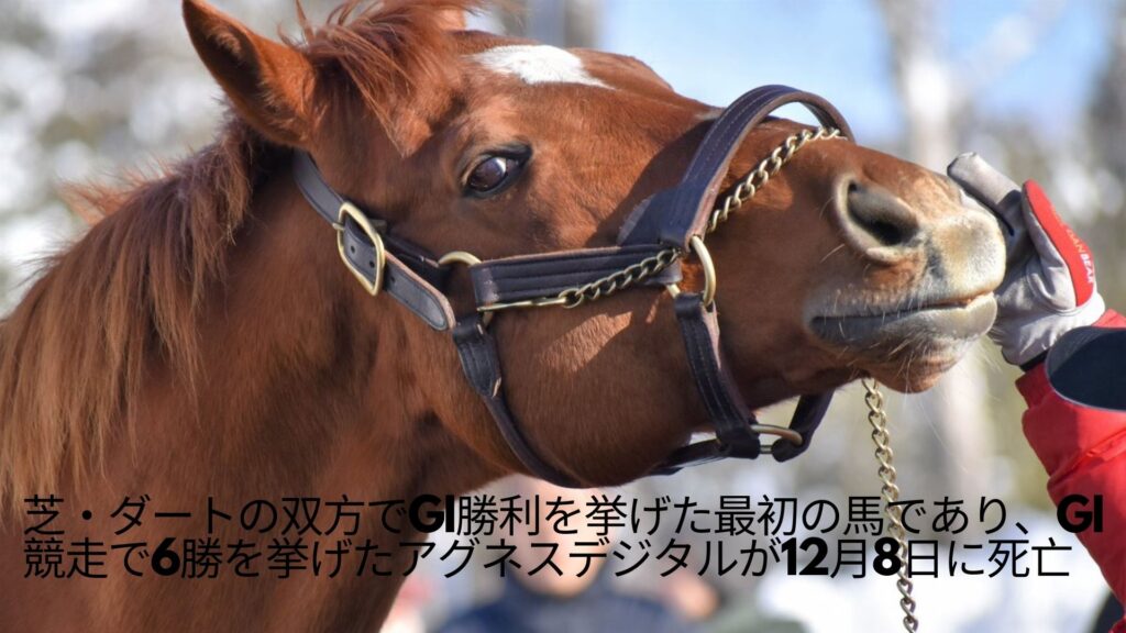 アグネスデジタル死去 24歳、G1競走、6勝の元祖二刀流、芝とダート