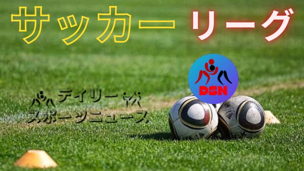 JFL・地域サッカーリーグ入れ替え戦